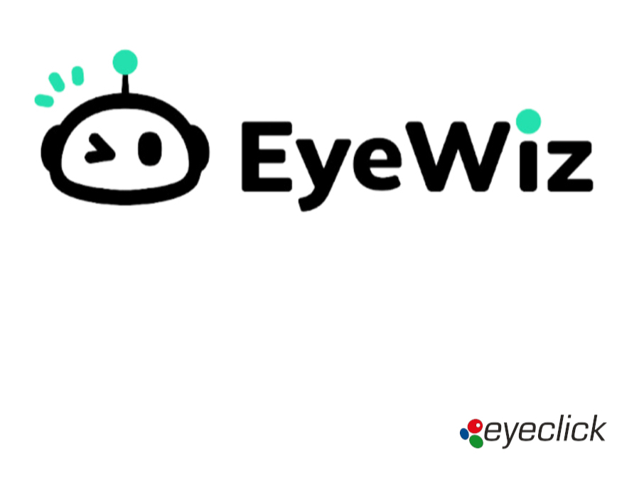 EyeWiz platform product interface